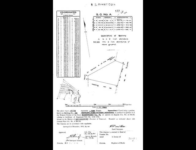 FARM FOR SALE IN ROODEPOORT